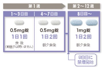 第1週、1～3日目0.5mg錠1日1回食後（朝昼夕は問いません）、4～7日目0.5mg錠1日2回朝夕食後、8日目に禁煙開始、第2～12週8日目～1mg錠1日2回朝夕食後。